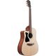 Ibanez V40LCE OPN Open Pore Natural Chitarra Acustica Mancina