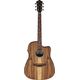 Ibanez V40WSCE OPB Chitarra Acustica Amplificata