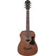 Ibanez V44MINI E OPN Open Pore Natural Chitarra Acustica Elettrificata