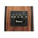 Ibanez VC40WSCE OPB Chitarra Acustica Amplificata
