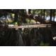 Vic Firth 5AT - Bacchette American Classic TERRA