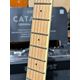 SX SEG2 Chitarra Elettrica Usata