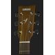 YAMAHA F310P Pack TBS Chitarra acustica con Custodia e accessori in omaggio