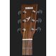 Yamaha F310P Pack Chitarra acustica naturale con Custodia e accessori in omaggio