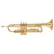 YAMAHA YTR-3335 Tromba in Sib Laccata Oro