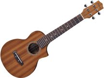 Ukulele Concerto Ibanez UEW5 OPN