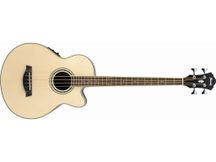Basso Acustico Ibanez AEB10E NT