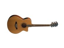 Chitarra acustica amplificata Eko MIA 018 CW