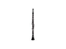 Clarinetto AMATI ACL 211