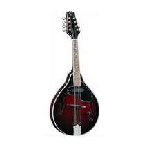 Roling's MA-005 Mandolino elettrico