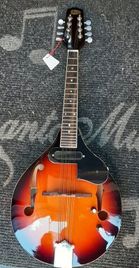 DAM MA005 Mandolino piatto elettrico