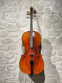 DAM MC003 Violoncello 4/4 di liuteria