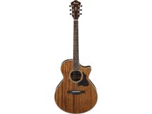 Ibanez AE245 NT Chitarra elettroacustica naturale