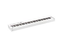 KORG D1 WH White Pianoforte digitale portatile bianco