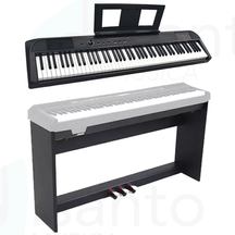 Echord DP-1 Bundle + stand