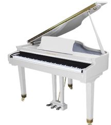 Pear River GP1100 Black Pianoforte digirale a coda bianco 88 tasti hammer action