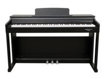 ECHORD DPX100 Black Pianoforte Digitale 88 Tasti con stand