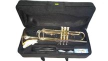 DAM DTR-100 Tromba con astuccio
