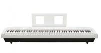 Echord DP-1W Pianoforte Digitale 88 Tasti pesati Bianco