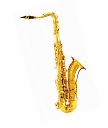 W. Stern WSST60 Sax Tenore