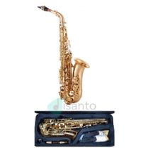 DESIR Sax contralto laccato oro con astuccio