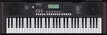 ROLAND E-X10 Tastiera Arranger 61 Tasti