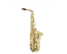 W. Stern WSSA30 Sax contralto laccato oro con astuccio
