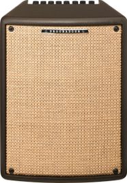 Ibanez T80II Amplificatore Combo per chitarra acustica 80W