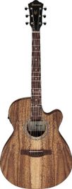 Ibanez VC40WSCE OPB Chitarra Acustica Amplificata