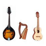 Altri Strumenti a Corda