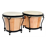 Bongo