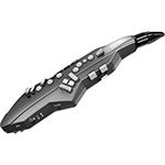 Strumenti a Fiato Digitali