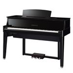 Pianoforti Digitali a Coda