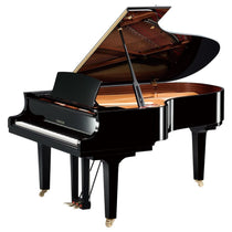 Pianoforti a Coda