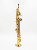 W.Stern WSSD50 Sax soprano dritto con astuccio