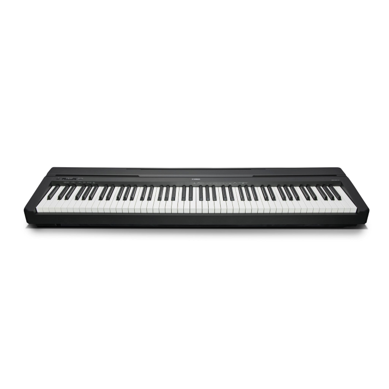 Yamaha p45, frontale
