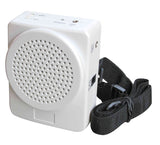 Karma BM 536W Amplificatore da cintura con microfono archetto