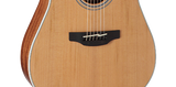 Takamine GD20CE NS Natural Chitarra acustica amplificata