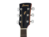 Ibanez PF17ECE LG Chitarra acustica elettrificata Natural Low Gloss