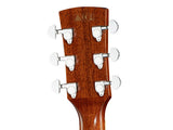 Ibanez PF17ECE LG Chitarra acustica elettrificata Natural Low Gloss