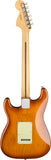 Fender American Performer Stratocaster RW Honey Burst Chitarra elettrica con borsa