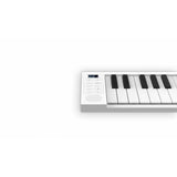 CARRY ON Folding Piano 49 Pianoforte pieghevole 49 tasti