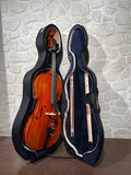 DAM MC001 Violoncello 4/4 di liuteria