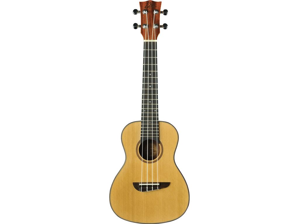 Eko Uku Evo Ukulele Concerto in cedro