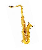 DAM AS04L Sax Alto in Mib
