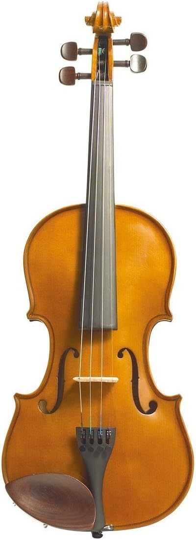 Violino Stentor Student I 4/4, realizzato a mano in legno massello, con cordiera metallica e custodia inclusa
