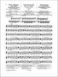 SEVCIK violin studies OP7 parte 1