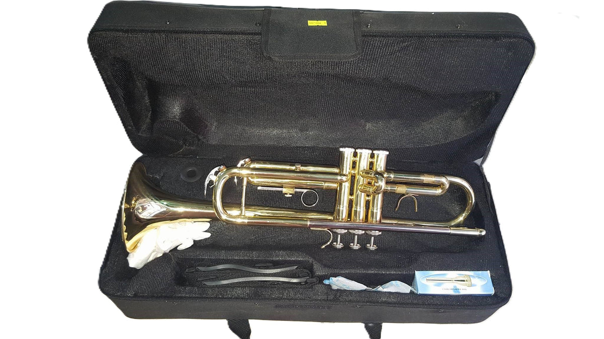DAM DTR-100 Tromba con astuccio