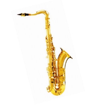 DAM DAS-90 Sax Alto completo di custodia