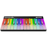 GEMINI GPP 101 PianoProdigy Tastiera 24 tasti Midi Wireless